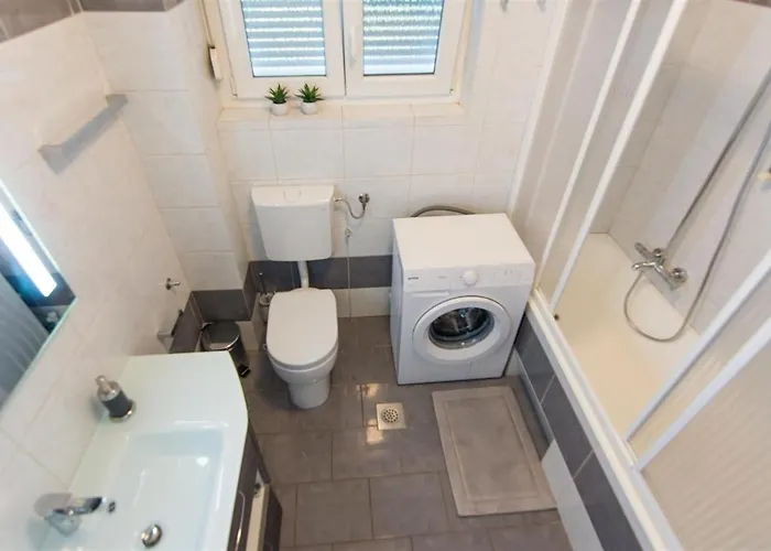 فيلة Ana زادار